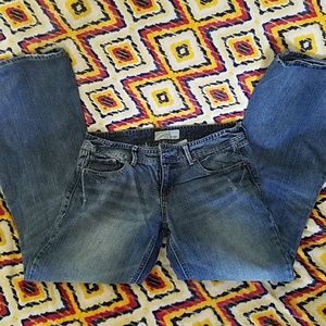 Maurice's Ani Flare Jeans